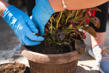 A woman is planting flowers in her backyard garden with planting tools during a sunny day	

