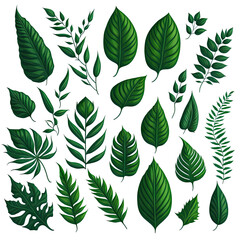 A set of green leaves on a transparent background. AI generativ.	
