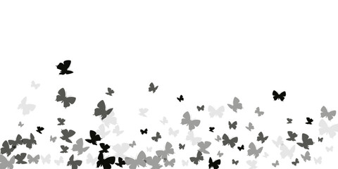 Tropical black butterflies abstract vector wallpaper. Spring beautiful insects. Fancy butterflies abstract children background. Delicate wings moths patten. Tropical beings.