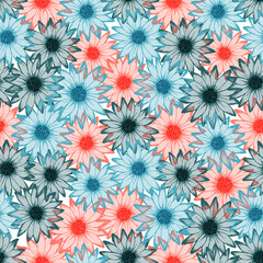 Dimorphotheca bright vector endless rapport. Osteospermum blossom with