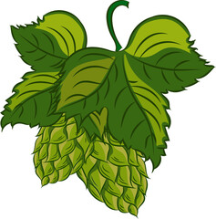 Green Hand Drawn Hop and Leaves. Emblem for Logo, Print. Label in Retro, Vintage Style. Hop