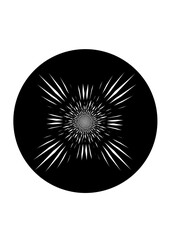 schwarze kreisfläche ein komplexes transparentes sternförmiges strahlenmuster, mudernes design