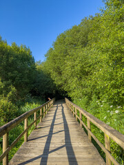 Fototapeta na wymiar Wooden pathway in Fiaes
