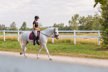 Girl in an equestrian outfit gently caressing her snow white horse during riding near the fields...