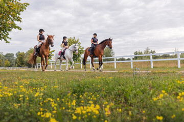 Horsewomen riding beautiful horses along the trail at the equestrian center on a bright summer day. Horse gait walks concept. - obrazy, fototapety, plakaty