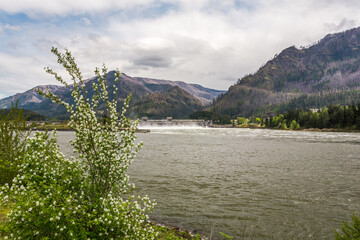 Fototapeta na wymiar Bonneville Dam across the Columbia River in Washington
