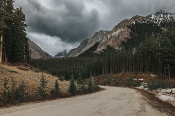 Fototapeta na wymiar road in the mountains in the Canadian Rocky Mountains in Alberta Canada, near Canmore and Banff 