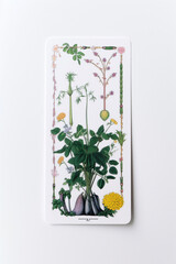 Peaceful nature plant abstract tarot card, generative ai