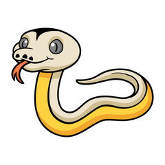 Cute reticulated motley tiger platinum cartoon