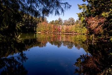 Fototapeta na wymiar Nature frame, pond with reflecting trees