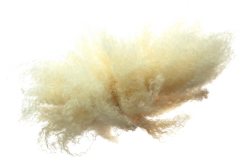 Afro Wig hair style fly fall explosion. Golden blond afro woman wig hair float in mid air. Afro wig hair extension wind blow cloud throw. White background isolated high speed freeze motion