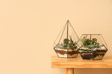 Florariums on wooden bench near beige wall