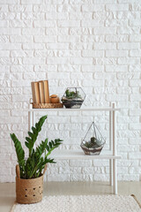 Shelving unit with florariums and books near white brick wall in room