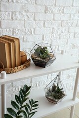 Shelving unit with florariums and books near white brick wall