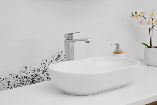White wall affected with mold. White washbasin, orchid flowers and soap dispenser in bathroom