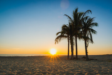 A Beach Sunset with Silhouetted Palm Trees and People