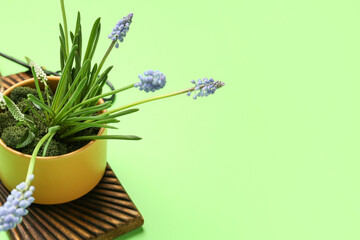 Board with beautiful Muscari flowers in cup on green background