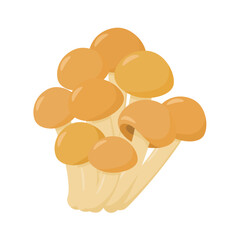 Vector illustration of nameko mushrooms.