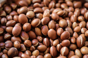 Argan fruits ready to extract argan oil with the traditional way. Souss Massa, Morocco.
