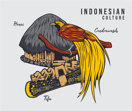 vector illustration of indonesian culture in papua with bird of paradise, honai, and tifa