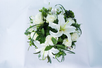 Flower circle on white background