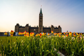 the Canadian Parliament in Ottawa during the Tulip Festival