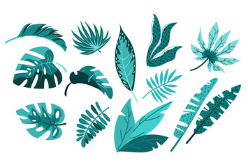 Tropical palm leaves, jungle leaves, botanical density, protein density.
Set of vector palm tropical leaves
