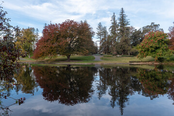 Fall colors at the middle of the UC Davis arboretum over the Spafford Lake featuring trees reflected on Spafford Lake - 601571531