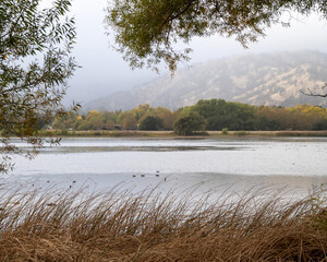 Lake at Lagoon Valley Park in Vacaville, California, USA, in the Autumn with plenty of copy space