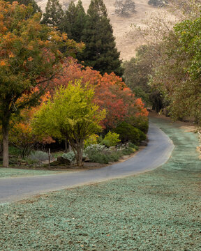 Trail at the Lagoon Valley Park in Vacaville, California, USA, featuring fall colors and the hills in the background