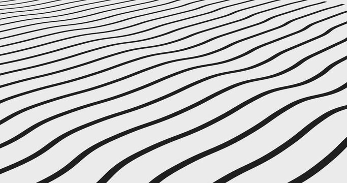 black line wave background animation on white background.  line abstract background animation
