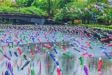 川を泳ぐ鯉のぼり　日本イベント