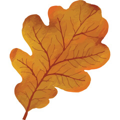 Autumn Leaves Clip art Element Transparent Background