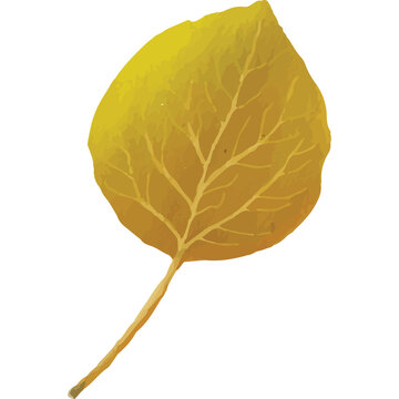 Autumn Leaves Clip art Element Transparent Background