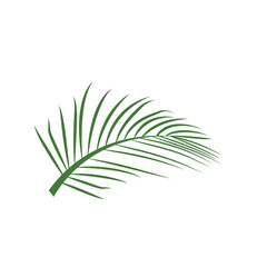 Fototapeta na wymiar leaf logo icon