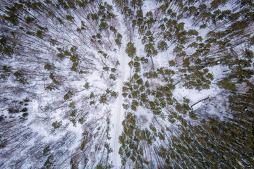 Aerial view of the road in the winter forest with high pine or spruce trees covered by snow. Driving in winter.