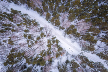 Aerial view of the road in the winter forest with high pine or spruce trees covered by snow. Driving in winter.