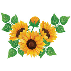 Sunflower Bouquet Clip art Element Transparent Background