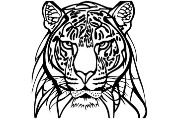 Leopard head vector