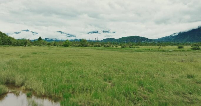 Low aerial over grassy estuary streams
