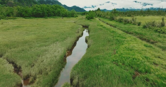 Aerial over small stream in estuary field