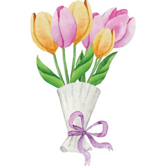 Tulips Flower Clip art Element Transparent Background
