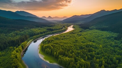 Vast and lush green forest, with a meandering river flowing through it, captured during a vibrant sunset. Generative AI