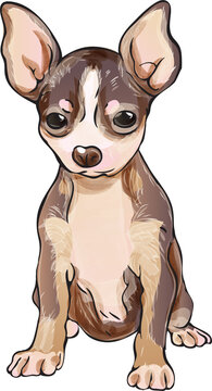 dogs puppy portrait watercolor realistic png illustration