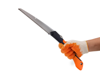 Man Hand wearing Gloves Small fold hand-saw for tree pruning  isolated on white