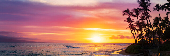 Silhouette coconut palm tree on sunset sky background