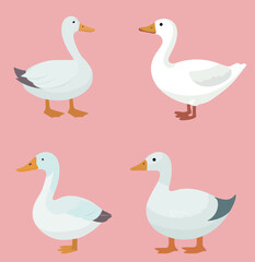 white Goose icon, white background, simplify flat design