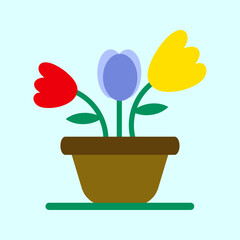 Colorful tulip flower pot vector illustration 