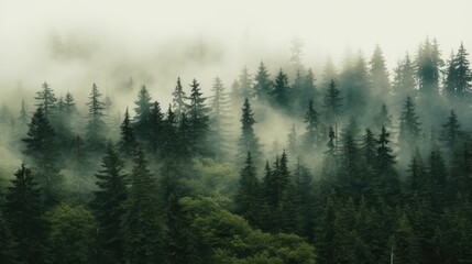 Obraz premium Foggy morning in the mountains. Beautiful landscape with coniferous forest, Generative AI