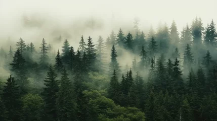 Poster Foggy morning in the mountains. Beautiful landscape with coniferous forest, Generative AI © tanatat